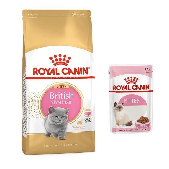 غذای گربه رویال british short hair kitten +pouch وزن 2 کیلوگرم