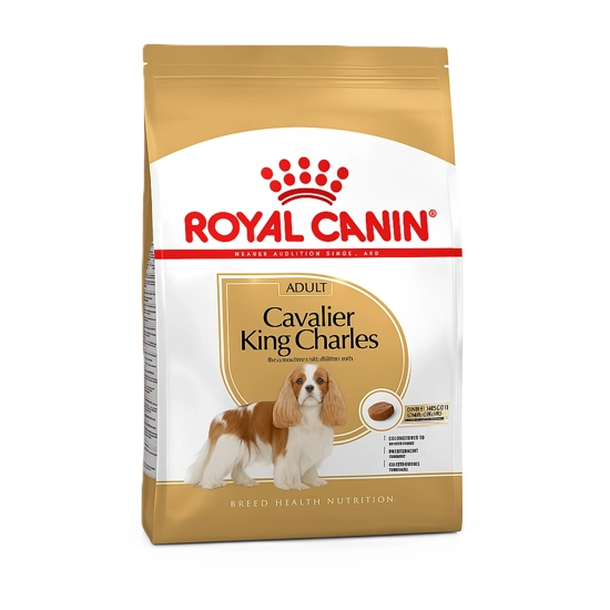 غذای سگ رویال cavalier king charles adult وزن 1.5 کیلوگرم